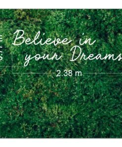 medida letras neón believe in your dreams